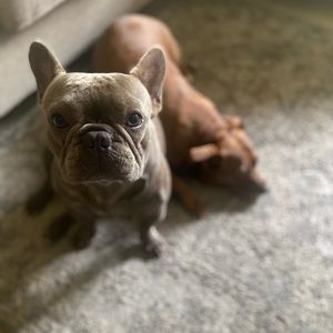 Meet your Posher, Bianca